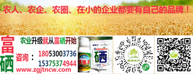 農(nóng)業(yè)農(nóng)村部實施新規(guī)，全國食用農(nóng)產(chǎn)品全面推行合格證制度