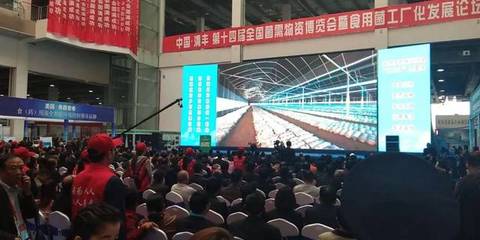 相約清豐 搜菇亮相河南食用菌大會，引領食用農產品新篇章