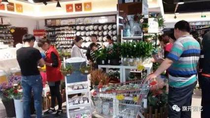 盆景銷售渠道變革 從傳統路徑向通信設備數字化轉型